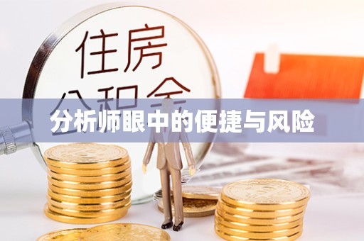 宁波分析师眼中的便捷与风险