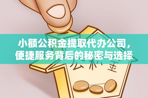乐山小额公积金提取代办公司，便捷服务背后的秘密与选择