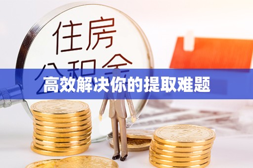 甘肃高效解决你的提取难题