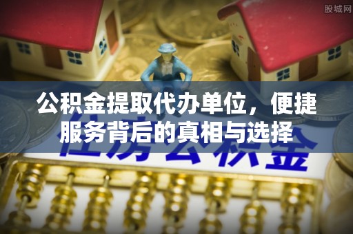 眉山公积金提取代办单位，便捷服务背后的真相与选择