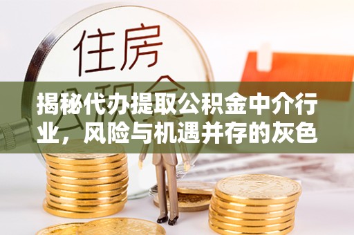 甘孜州揭秘代办提取公积金中介行业，风险与机遇并存的灰色地带