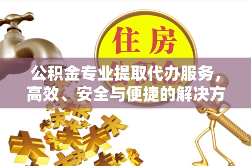 丽水公积金专业提取代办服务，高效、安全与便捷的解决方案