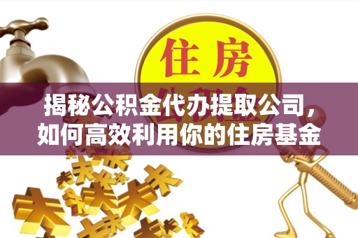 驻马店揭秘公积金代办提取公司，如何高效利用你的住房基金