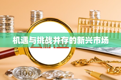 温州机遇与挑战并存的新兴市场