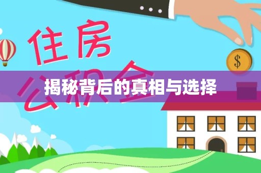 山东揭秘背后的真相与选择