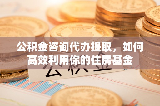 漳州公积金咨询代办提取，如何高效利用你的住房基金