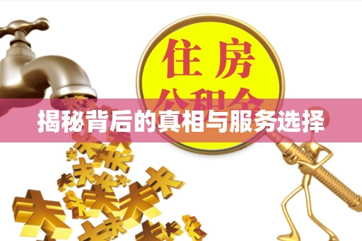 山东揭秘背后的真相与服务选择