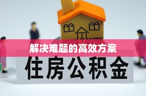 丽水解决难题的高效方案