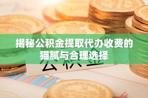 荆州揭秘公积金提取代办收费的猫腻与合理选择