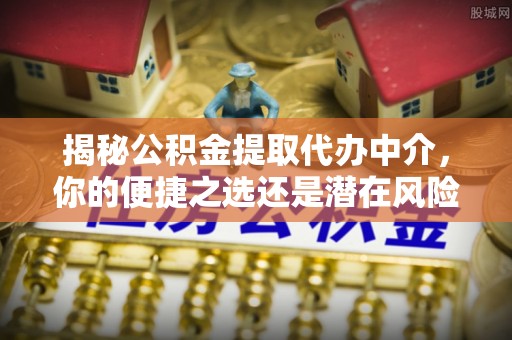 湖州揭秘公积金提取代办中介，你的便捷之选还是潜在风险？