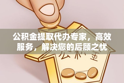 乐山公积金提取代办专家，高效服务，解决您的后顾之忧